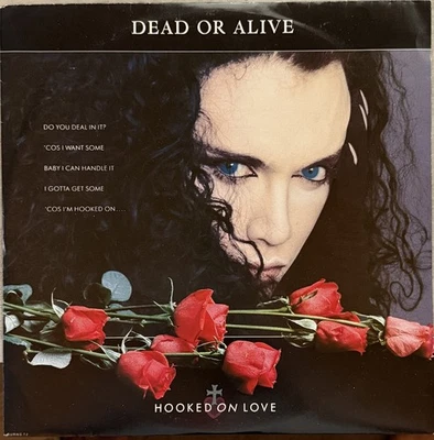 Dead or Alive - 5 x 12" singles 1986-1989 - VG+/VG+ used vinyl - 80s! Foto 1 de 4