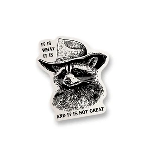 Raccoon Meme Vinyl Sticker Funny Meme Sticker Decal Water Bottle Sticker Decal - Picture 1 of 2