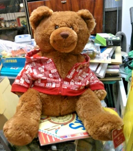 Aeropostale AERO BEAR 16" Brown w/ Red White Hoodie Jacket Plush Animal NWT - Picture 1 of 2