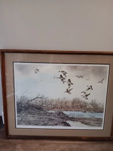 River Refuge Pintails By Eldridge Hardie Framed Signed Print 1987/5300  25x31    - Picture 1 of 24