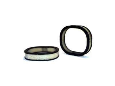 Filtro de aire para Chevrolet Citation II 1984-1985 WIX 91898NFXM 2,8 L V6 VIN: X Foto 1 de 2