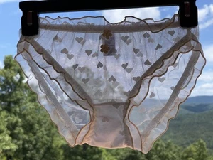 Enchanting Girl 16 Teen Sheer Hearts Nylon Bikini Panty Underwear White - Picture 1 of 4
