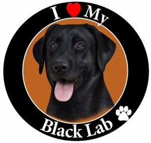 I love my Black Lab Magnet (Verwendung auf Fahrzeug, Kühlschrank, Spind, Aktenschrank) - Bild 1 von 1