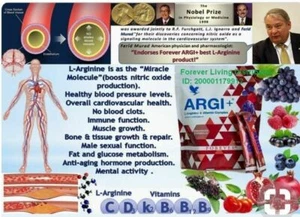 4 pouches Forever Living ARGI+ with L-Arginine & Vitamins complex / KOSHER, - Picture 1 of 3