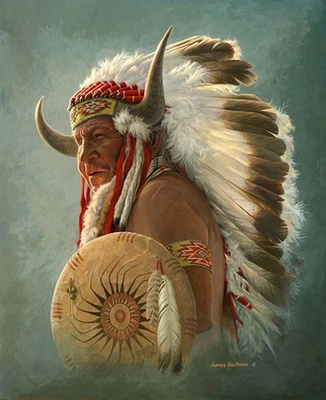 Plush Queen Size Native American Blanket - Extremely Soft - Indian Portrait - Image 1 of 3