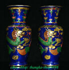 Paire de vase bouteille phénix Phénix Phénix Dragon Dynastie Qianlong Chine ancienne