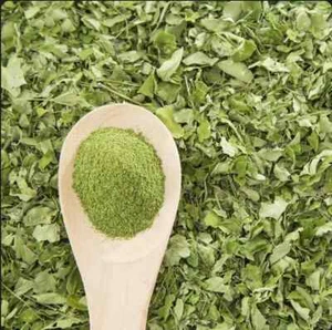 Hierbas naturales || Moringa seca |250 g| ورق عشبة المورينجا | اعشاب - Imagen 1 de 1