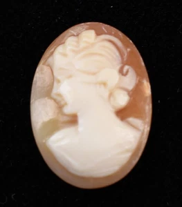 Italian Shell Cameo Cabochon Hand Carved Lady Oval 20x14 mm Unset For Setting - Picture 1 of 4