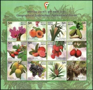 India 2023 Indicaciones Geográficas Bienes Agrícolas Frutas Hoja Miniatura - Imagen 1 de 3