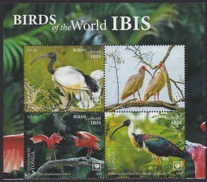 Tonga (2020) Birds of the World, Ibis, Large Stamp - BK/4, Top - Picture 1 of 1