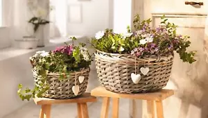 2x Pflanz Korb "Herzen" aus Weide grau, Hochzeits Deko, Blumen Topf Kübel Schale - Bild 1 von 4