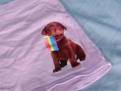 BRAGAS CORTAS DE COLECCIÓN Victoria's Secret Rosa LAVANDA NIÑO Perro Arco Iris Bandera ORGULLO talla L Foto 1 de 4
