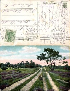59740,Lüneburger Heide Stelle 1912 - Bild 1 von 1