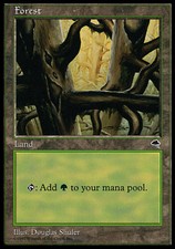 Forest (D) X4 (Tempest) MTG (NM) *CCGHouse* Magic