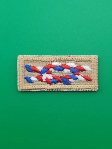 Eagle Scout Rang Uniform Knoten Patch flach Kunststoffrücken BSA Scouts Amerika NEU - Bild 1 von 2