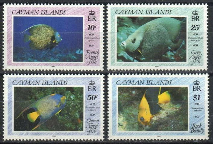 Cayman Islands Stamp 618-621  - Angel Fish - Image 1 of 1