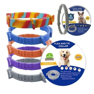 8 Month Protection Pet Flea and Tick Collar Antiparasitic Cat Collar - Bild 1 von 30