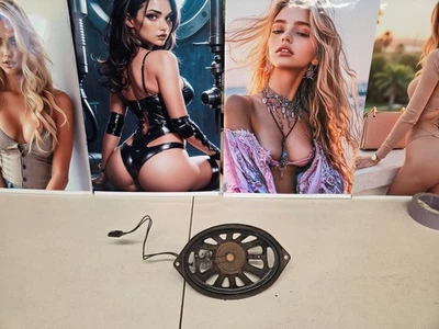 Altavoz de tablero Mercury Comet Caliente Cyclone 1965 fabricante original Foto 1 de 4