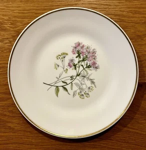 RICHARD GINORI Primavera Pink & Yellow 8” Salad Plate Fine Bone China from Italy - Bild 1 von 6