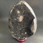 614G Naturalny żółw Back Stone Kształt jajka Smok Kryształ Próbka mineralna
