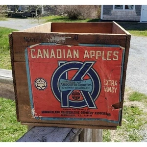 Caja de madera vintage OK Canadian Apples Summerland Coop Growers Vernon - Imagen 1 de 5