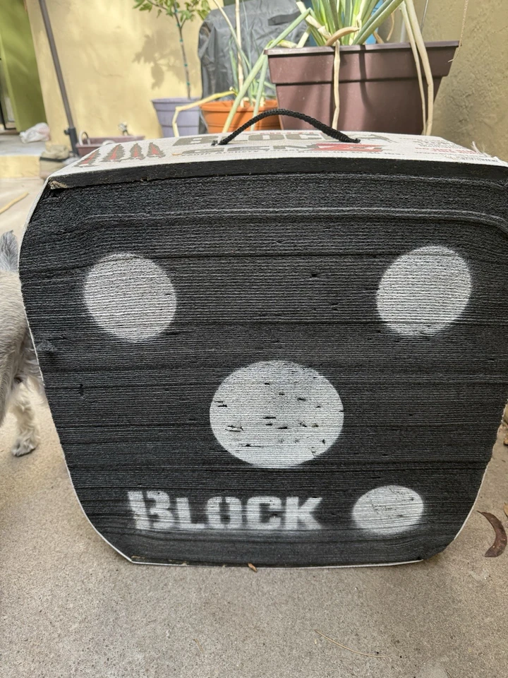 Objetivo de flecha de tiro con arco abierto para jóvenes Block GenZ - Fácil extracción de flechas/Fácil transporte Foto 1 de 2