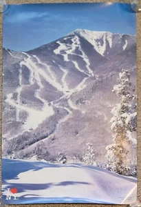 VINTAGE 1980's I LOVE NY POSTER WHITEFACE MOUNTAIN WILMINGTON NEW YORK 24x36" - Picture 1 of 3