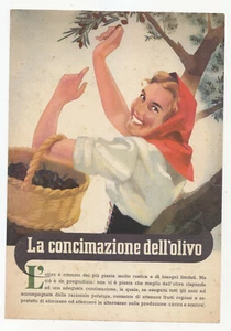 HH614-MONTECATINI-LA Fertilización Dell " Ol Ivo - Imagen 1 de 1