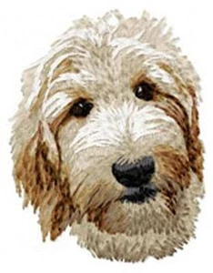 Parches Goldendoodle Labradoodle para perro, color crema - Imagen 1 de 4