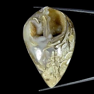 93.00Cts Natural Fossil Snail Druzy Agate Fancy Loose Gemstone 27x42x15mm - Picture 1 of 5