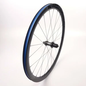 Newmen Advanced SL R38 Carbon Laufrad Hinten 28"  #8495 - Bild 1 von 5