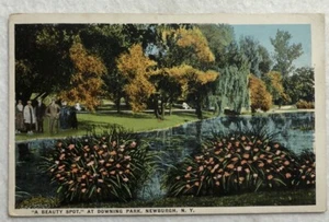 Downing Park, Newburgh, N.Y. Postcard (F1) - Picture 1 of 2