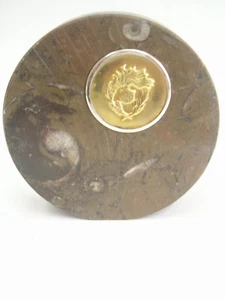 Ammonite Fossile- Associazione Nazionale Carabinieri - fermacarte - soprammobile - Imagen 1 de 9