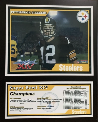 Pittsburgh Steelers Wood Wall Plaque Super Bowl XIV 12" x 15" Terry Bradshaw Cover
