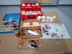 Hegene Fliegen Nymphen Angelzubehör Fliegenfischen - Bild 1 von 24