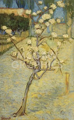 Small Pear Tree in Blossom 1888, van Gogh, Wall Art Print Poster 14" x 11" 1698 - Image 1 of 2