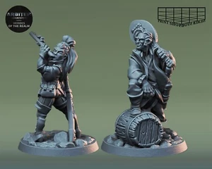 Set De Miniaturas De Bardo Personaje Para TTRPGs Como D&D 5e Pathfinder - Bild 1 von 14