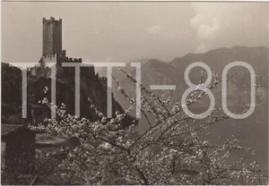 MALCESINE SUL GARDA (VERONA) 1954 - Bild 1 von 1