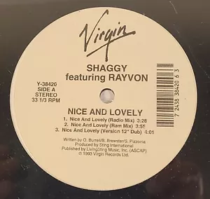 SHAGGY mit Rayvon schön und schön 12" Vinyl Mixe Virgin 1993 NEU VERSIEGELT - Bild 1 von 5