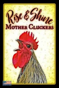 RISE & SHINE! FUNNY ALL WEATHER METAL SIGN 8"X12" SHE SHED CHICKEN COOP FARM USA - Picture 1 of 1