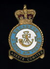 Scarce 1940s RAF Royal Air Force 32nd Squadron Enamel Sweetheart pin LOOK