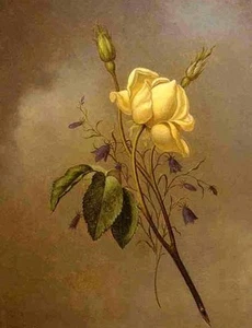 Oil Martin Johnson Heade - White Rose against a Cloudy Sky free shipping canvas - Picture 1 of 1