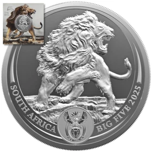 Moneda de plata Sudáfrica Big Five III. León (2.) 2025 - en blister - 1 OZ ST - Imagen 1 de 4