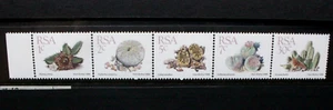 SOUTH AFRICA RSA 1993 Succulents. Readers Digest COIL Strip of 4 MNH SG654-7 662 - Picture 1 of 1