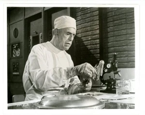 BORIS KARLOFF / FRANKENSTEIN 1970 - 8x10 Original Foto - Bild 1 von 2