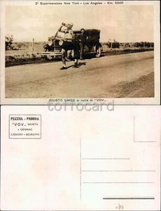 PUBBLICITA' VOV PEZZIOL PADOVA-GIUSTO UMEK-MARATONA 1929-C45-52 - Imagen 1 de 1