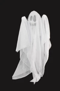 DECORACIÓN FANTASMA PARED HALLOWEEN ASHLAND 20" - Imagen 1 de 5