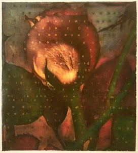 Dan M. Allison, "Diamonds From Dirt" 2nd state, photogravure, 21"x 17.5" 1999 - Picture 1 of 6