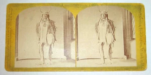 1873 CHAS. POLLOCK Publ C. SEAVER Photog Native American INDIAN CHIEF STEREOVIEW - Picture 1 of 5