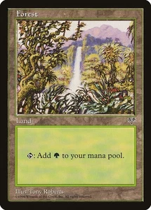 Lot of 20x Forest #348 - MIR Mirage Basic Land MTG Magic PL - Picture 1 of 1